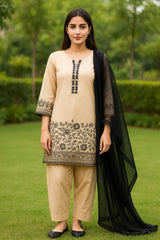 NAFEESA skin 3-Piece Embroidered Suit