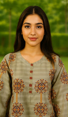 Mahnoor 2-Piece Embroidered Dres